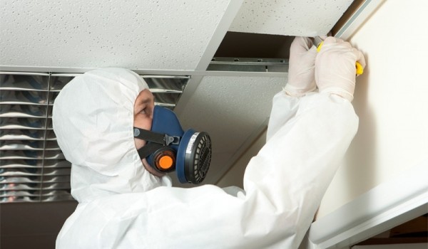 Asbestos Inspection