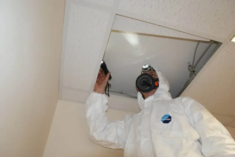 When to Get an Asbestos Survey