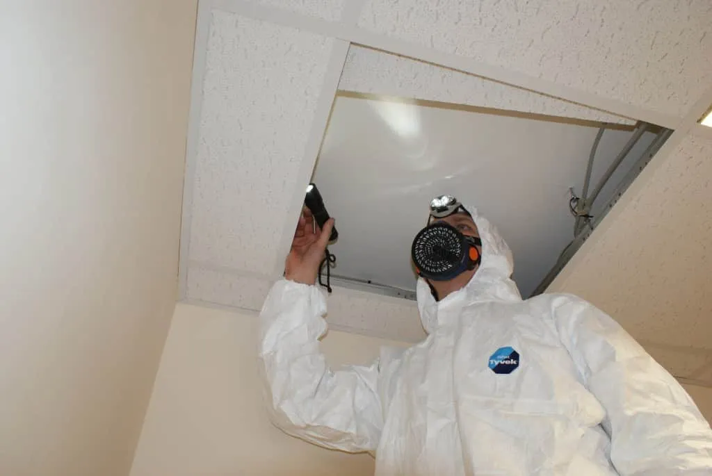 When to Get an Asbestos Survey