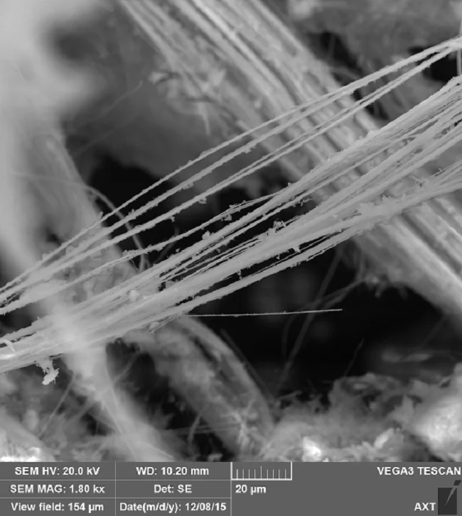 Why the Asbestlint Concept Matters Why the Asbestlint Concept Matters